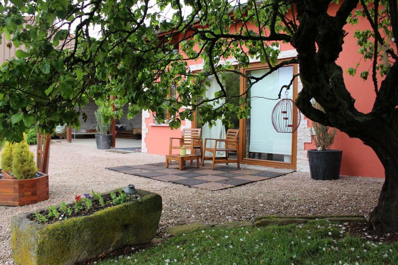 Gite Au Centre De L'Alsace Scherwiller ภายนอก รูปภาพ
