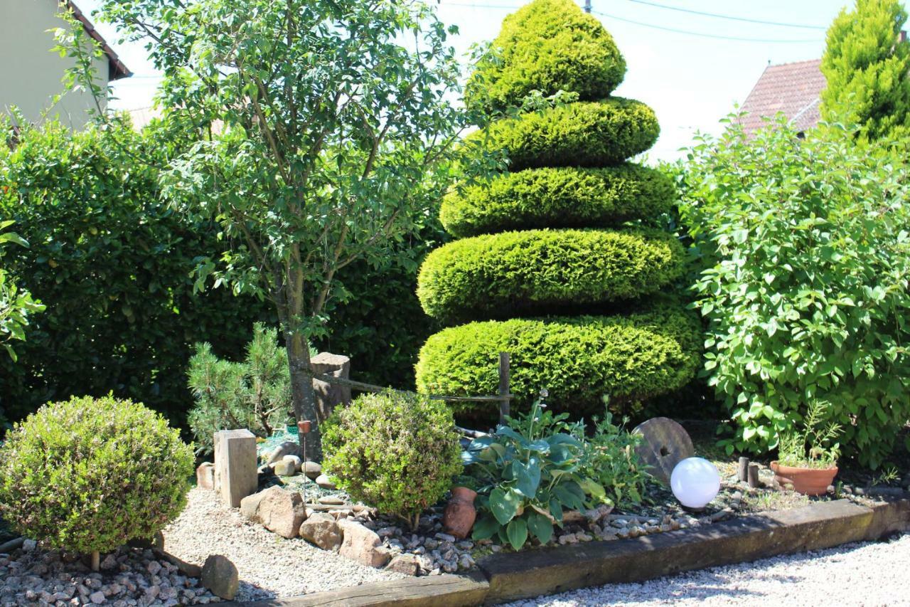 Gite Au Centre De L'Alsace Scherwiller ภายนอก รูปภาพ