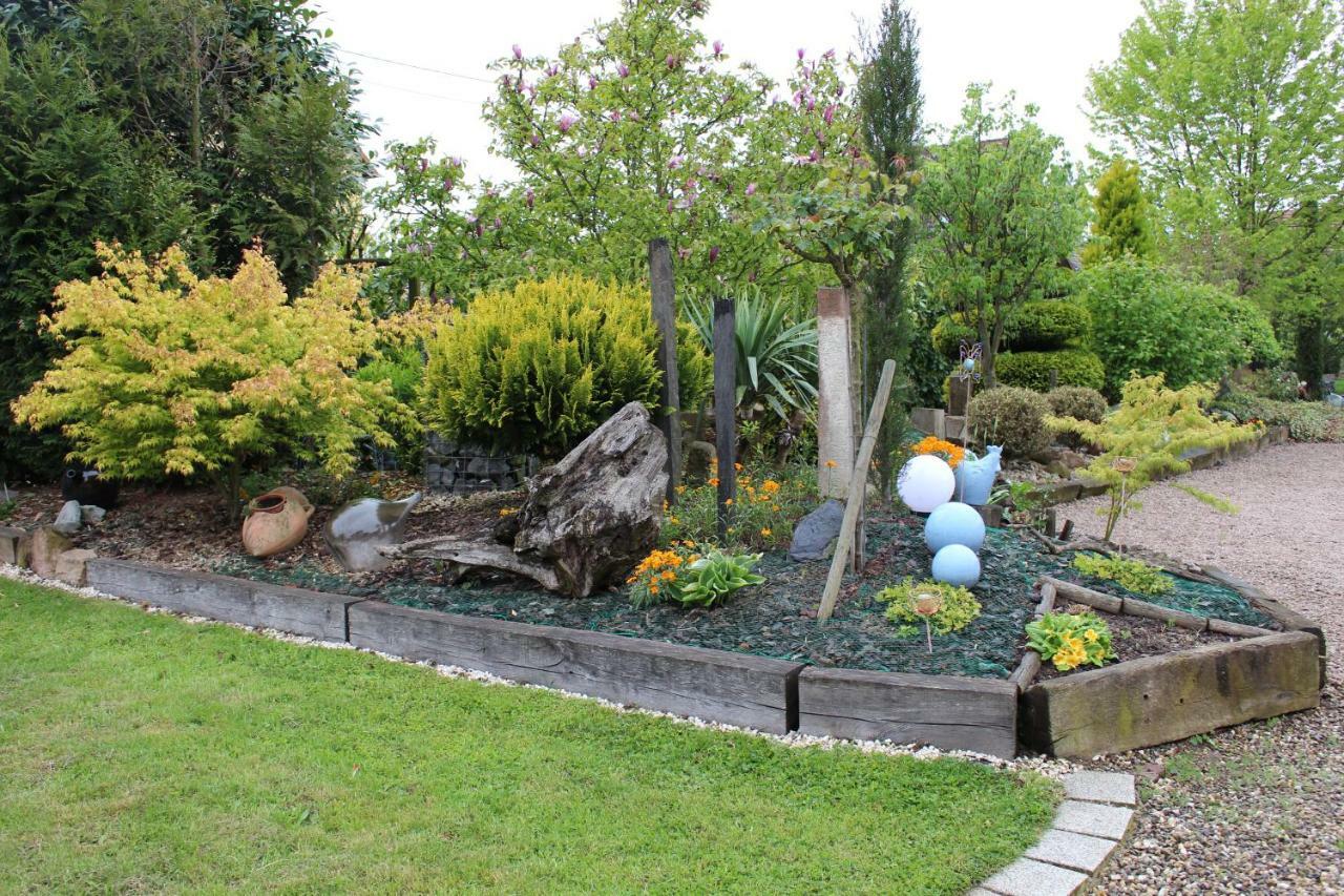 Gite Au Centre De L'Alsace Scherwiller ภายนอก รูปภาพ