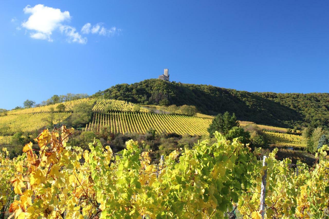Gite Au Centre De L'Alsace Scherwiller ภายนอก รูปภาพ