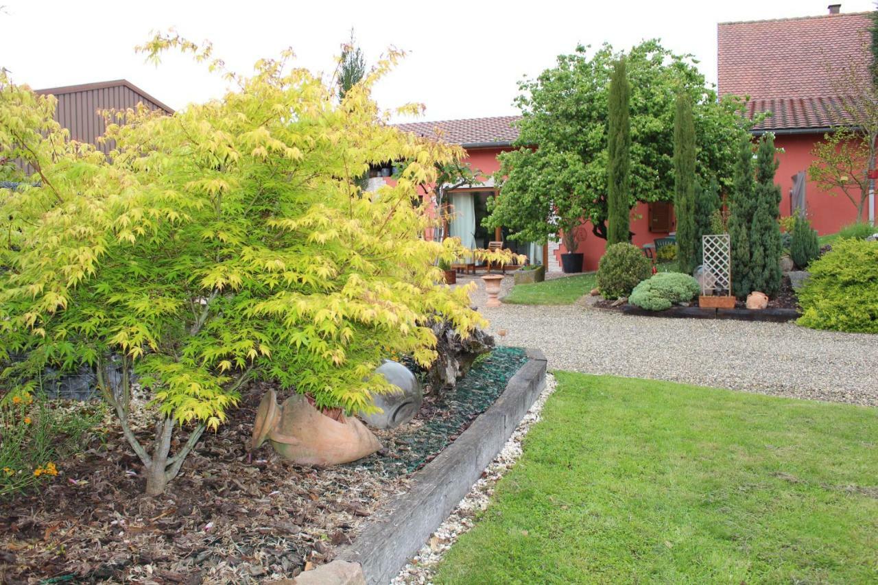 Gite Au Centre De L'Alsace Scherwiller ภายนอก รูปภาพ