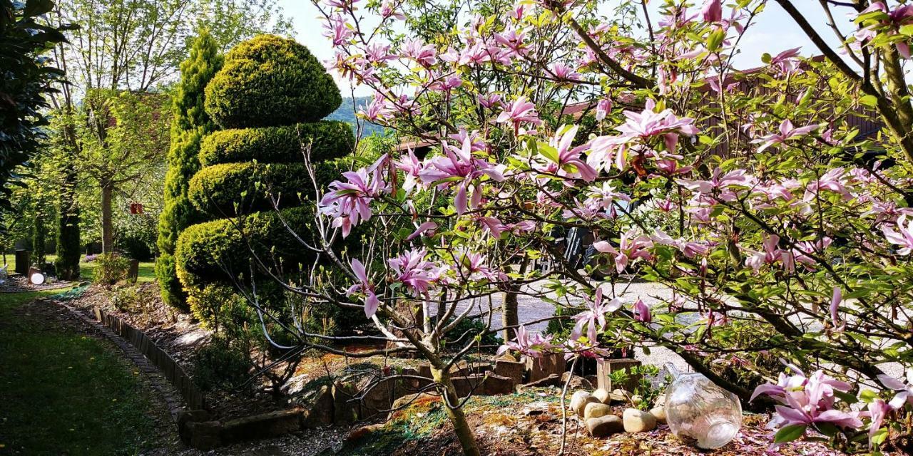 Gite Au Centre De L'Alsace Scherwiller ภายนอก รูปภาพ
