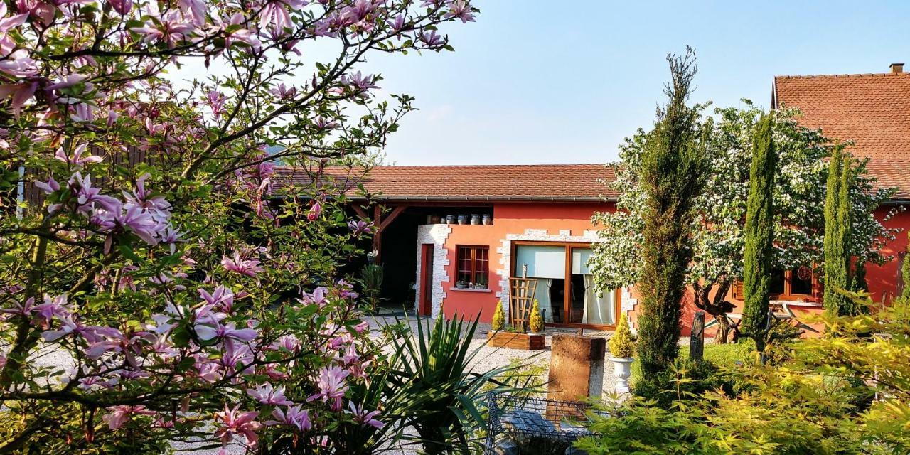 Gite Au Centre De L'Alsace Scherwiller ภายนอก รูปภาพ